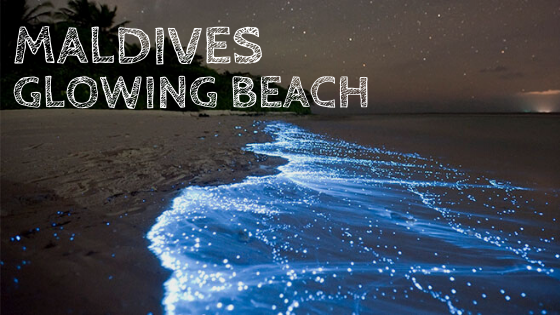 Glowing Beach - Why Does Maldives Beach Glow At Night?