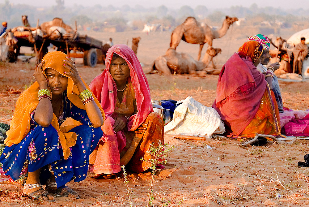 Unveiling Rajasthan Discover the Majestic Deserts Palaces and Culture of Indias Jewel