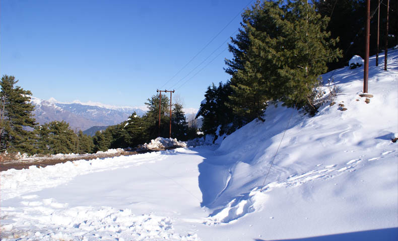 Patnitop Tour Packages