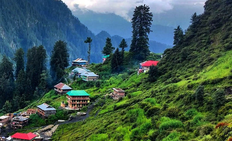 Kufri Hill Station Tour Packages