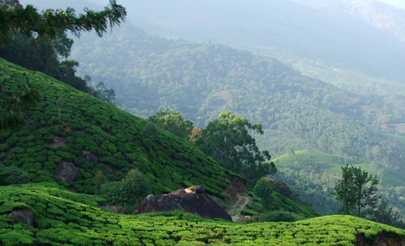 Exotic Kerala Hill Station Tour Packages