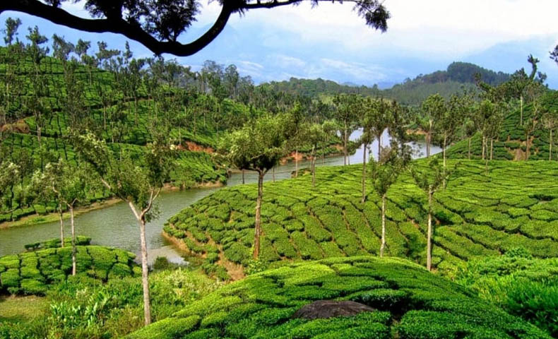 Exotic Kerala Hill Station Tour Packages