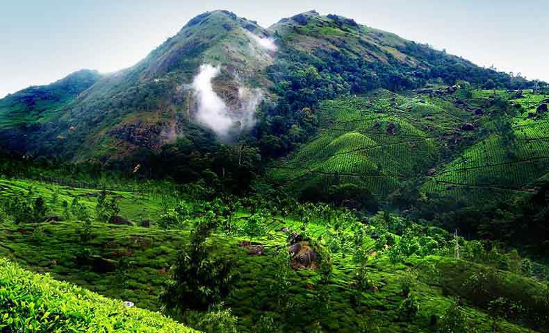 Exotic Kerala Hill Station Tour Packages