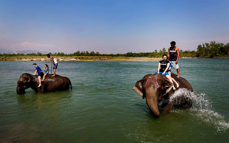 NEPAL SAFARI