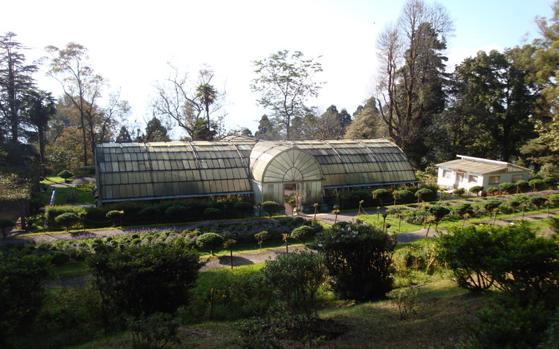 Delightful Darjeeling Tour Package