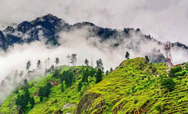 Chail Hill Station Tour Packages