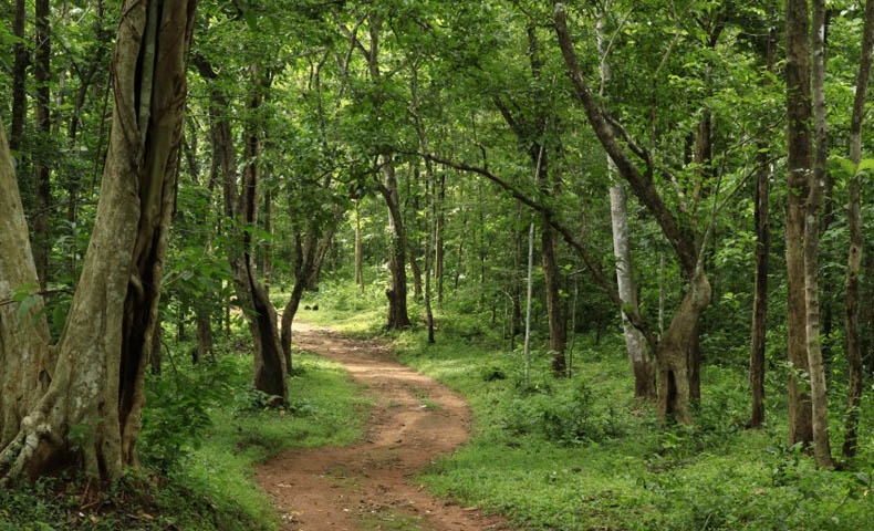 Kerala Ecotourism Tour Packages