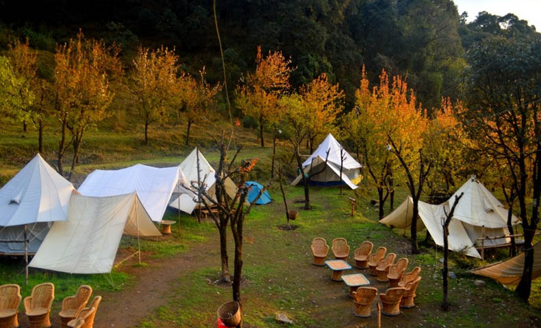 Camping In Himachal Pradesh