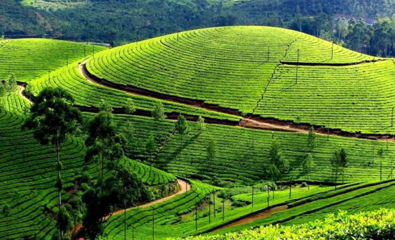 Araku Valley Tour Packages