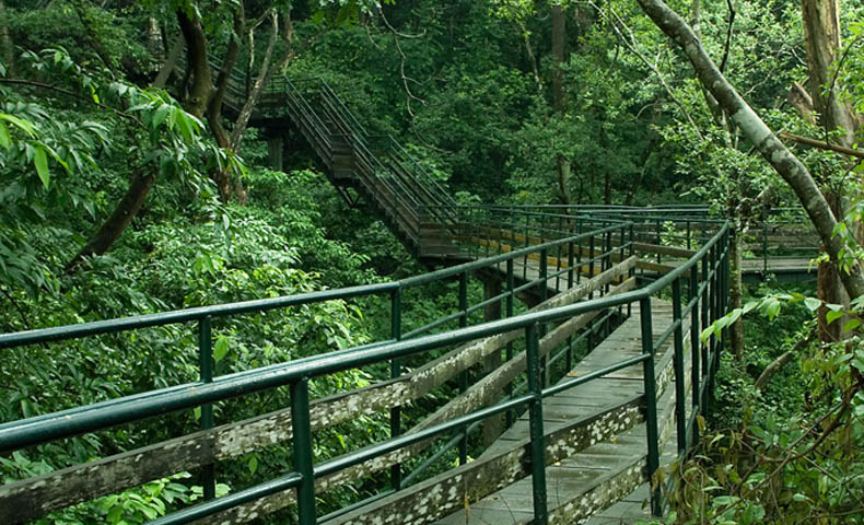Kerala Ecotourism Tour Packages