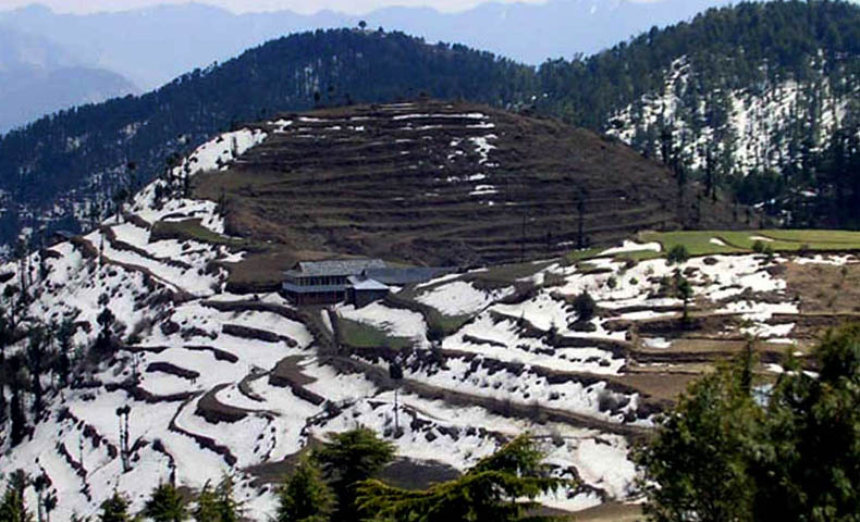 Kufri Hill Station Tour Packages