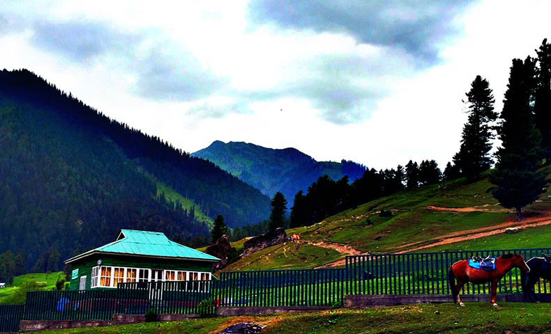 Doodhpathri Hill Station Tour Packages