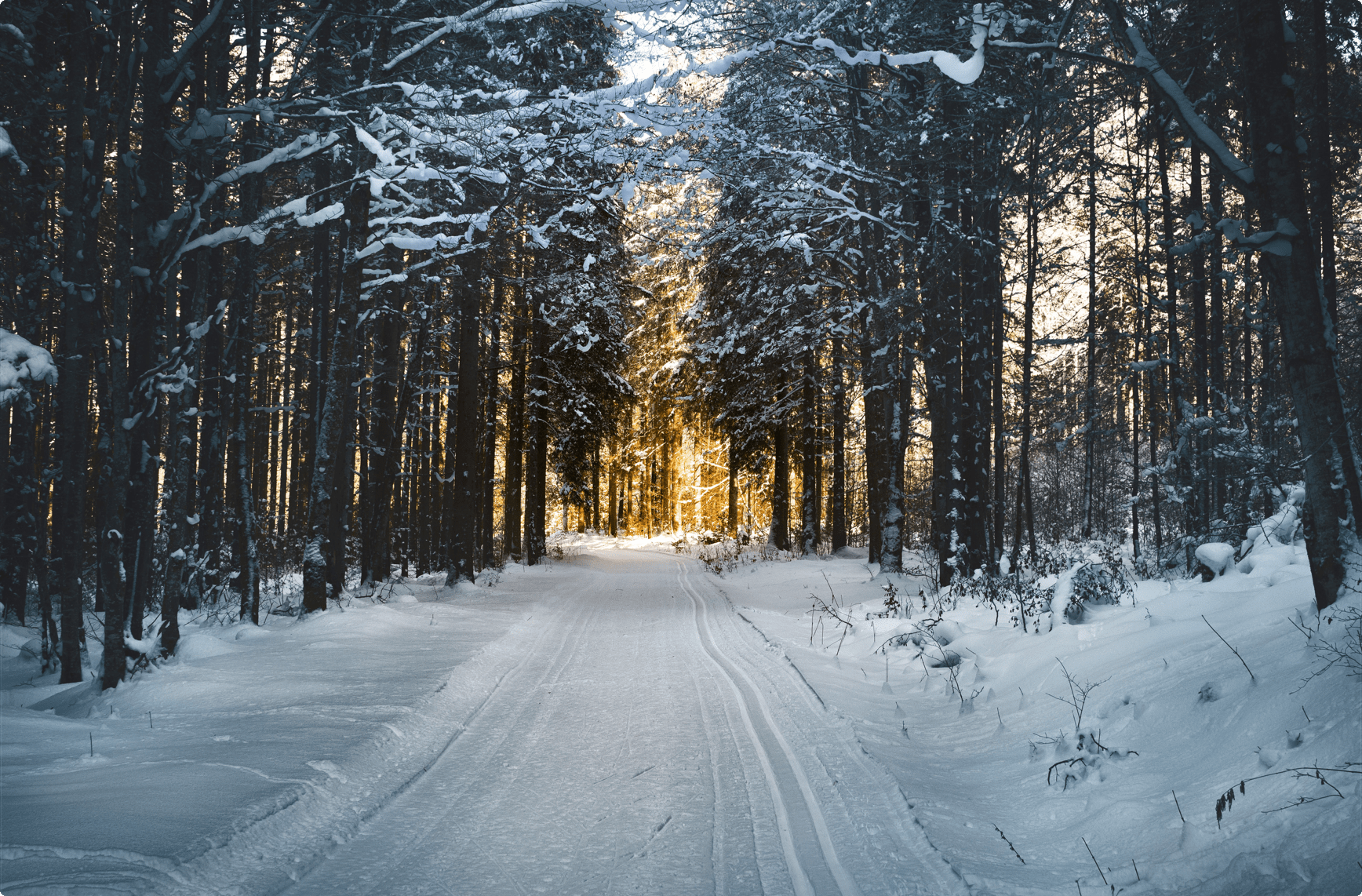 Snowy Himachal Pradesh Tour Package