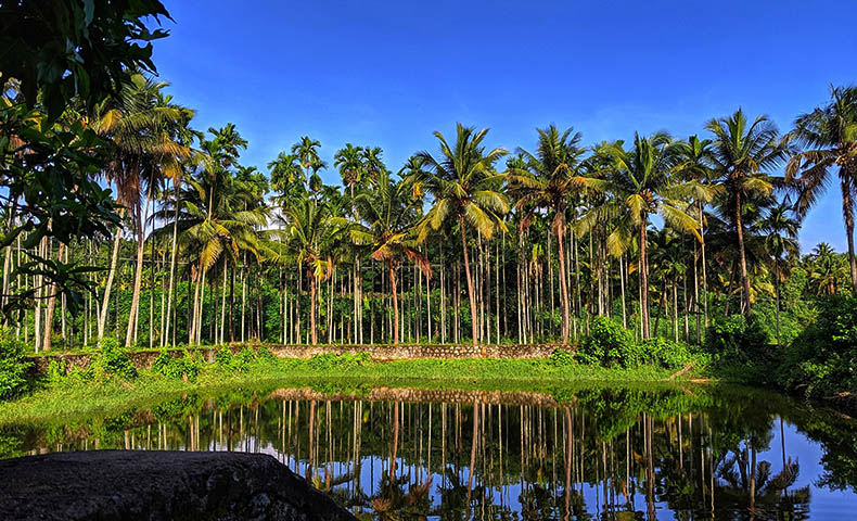 Kerala Village Tour Packages