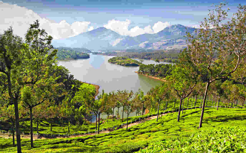 Darjeeling Honeymoon Tour Package