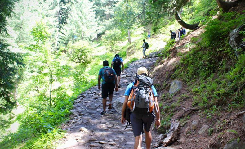 Trekking In Himachal Pradesh