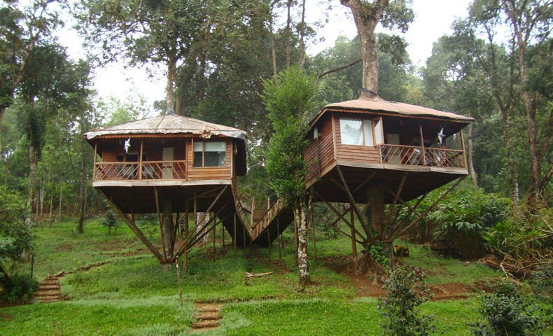 Kerala Ecotourism Tour Packages