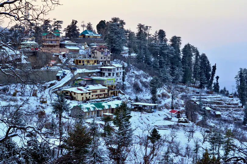 2 Nights 3 Days Shimla Tour Packages
