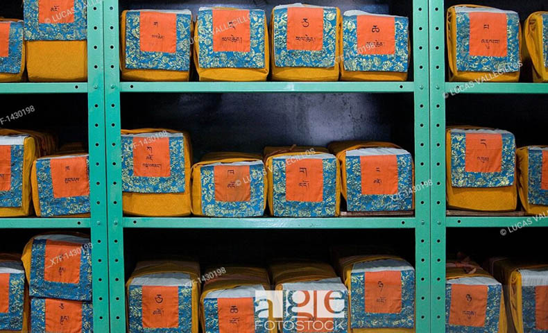 Library Of Tibetan Works And Archives 