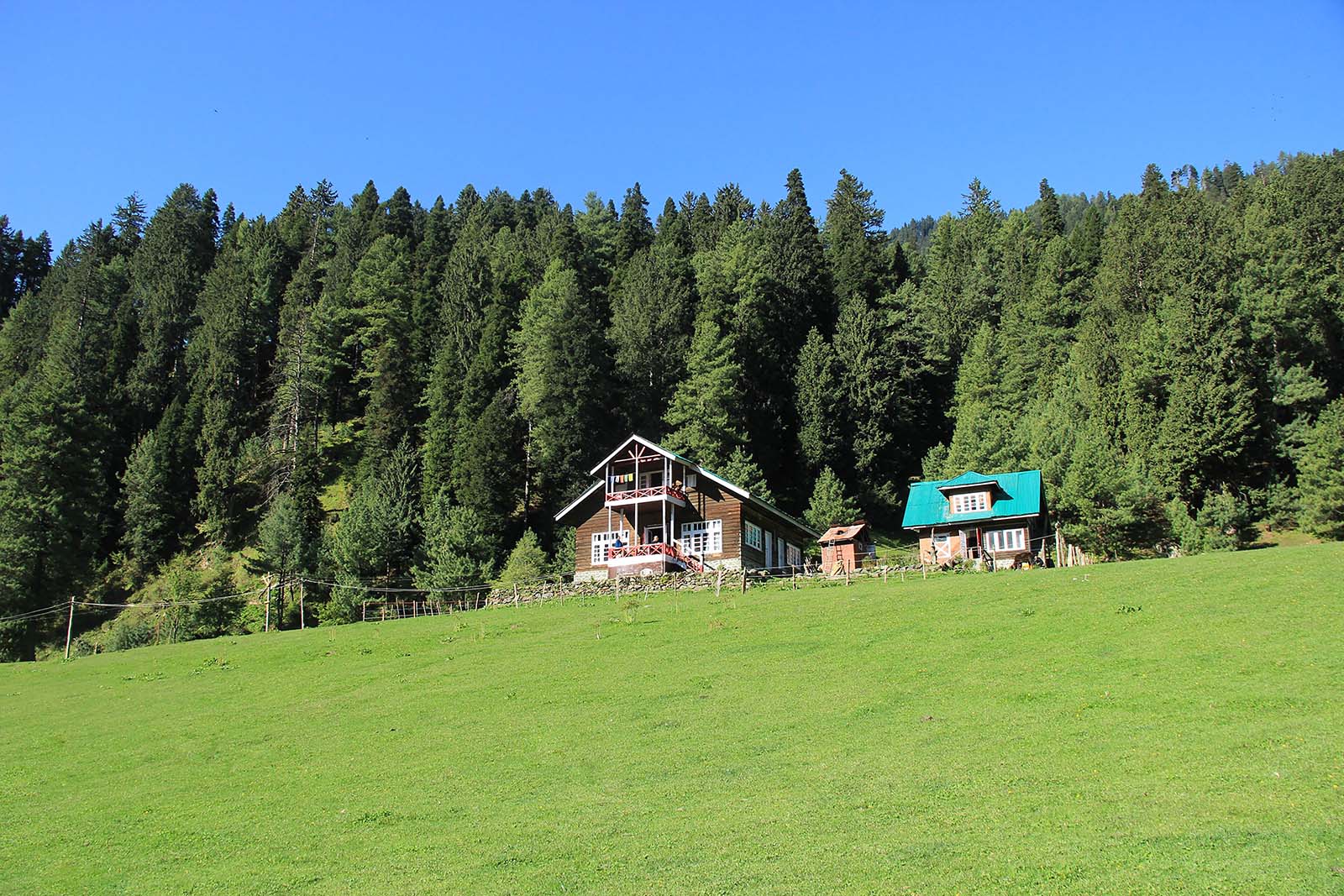 Srinagar Gulmarg Pahalgam Tour Packages