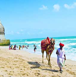 Gujarat Tour Packages