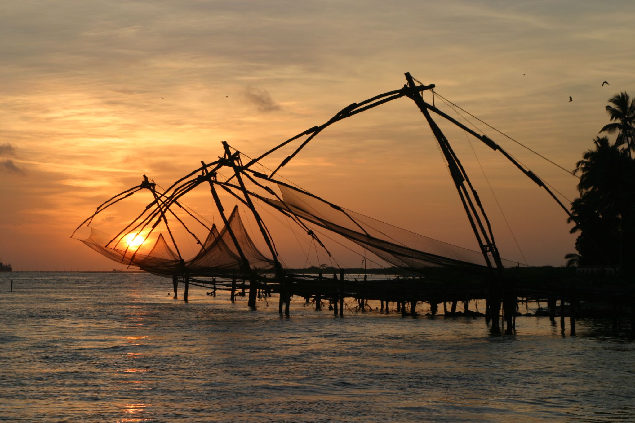 Golden Triangle and Kerala tour