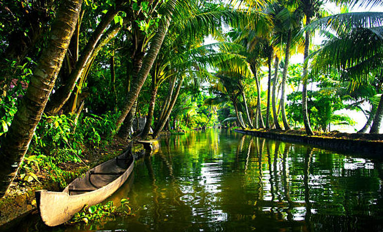 Vibrant Kerala Tour