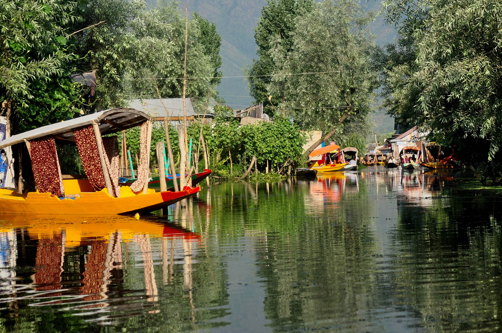 Srinagar Gulmarg Pahalgam Tour Packages