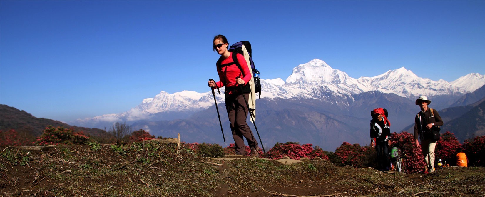 Trekking In North India