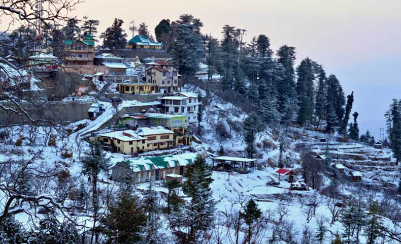 Kufri