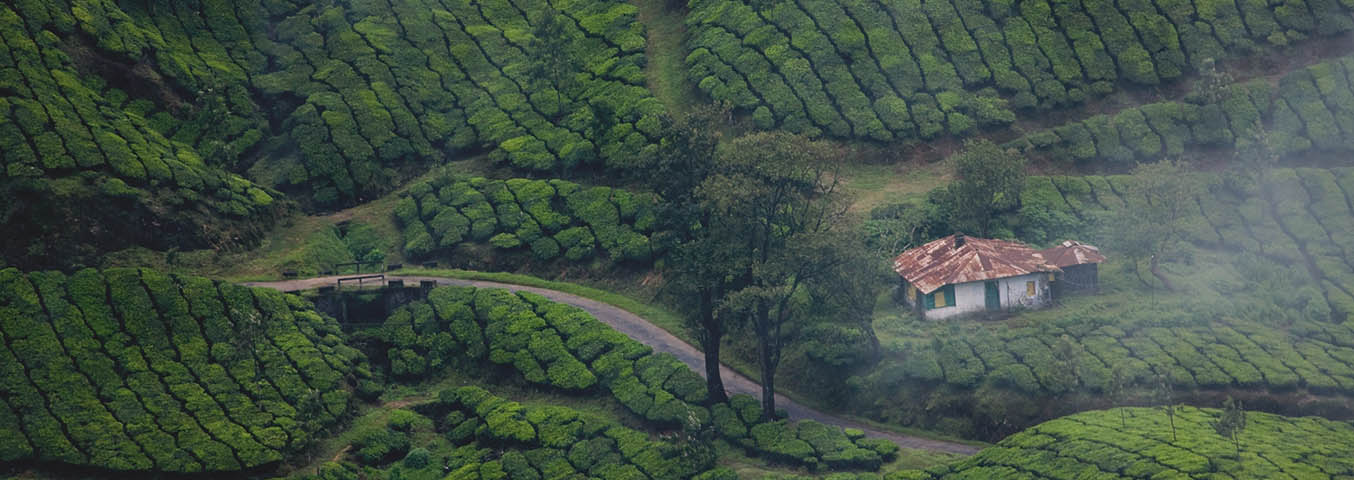 Hill Station Tour Packages In India