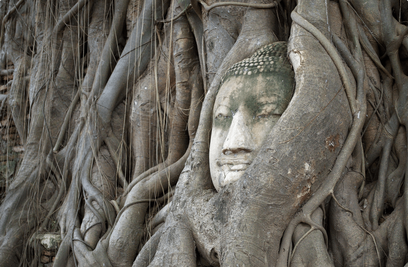 Buddhist Tour Package – Bodhgaya