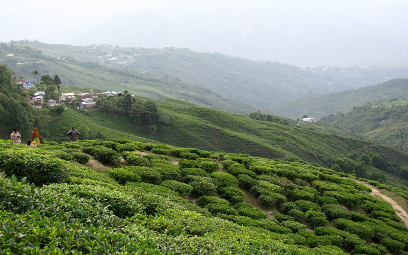 Sikkim Tour Package