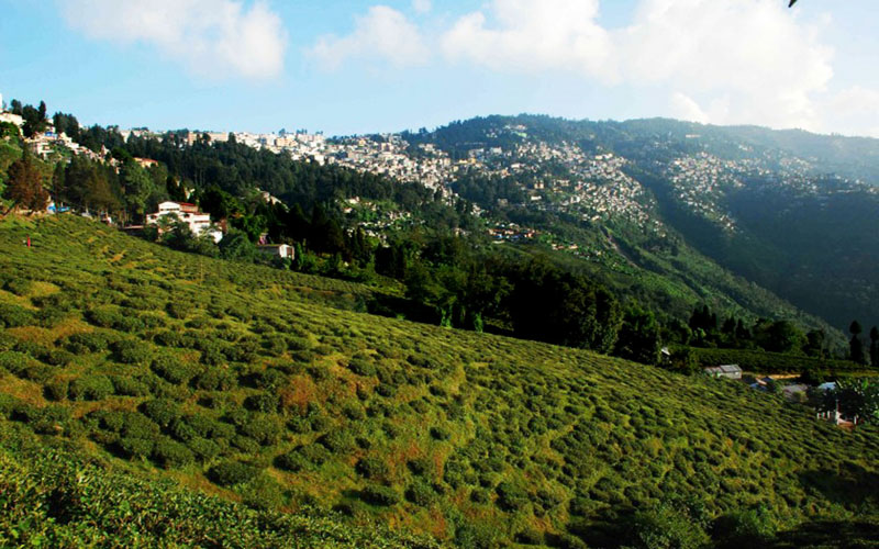 Fascinating Sikkim Tour Package