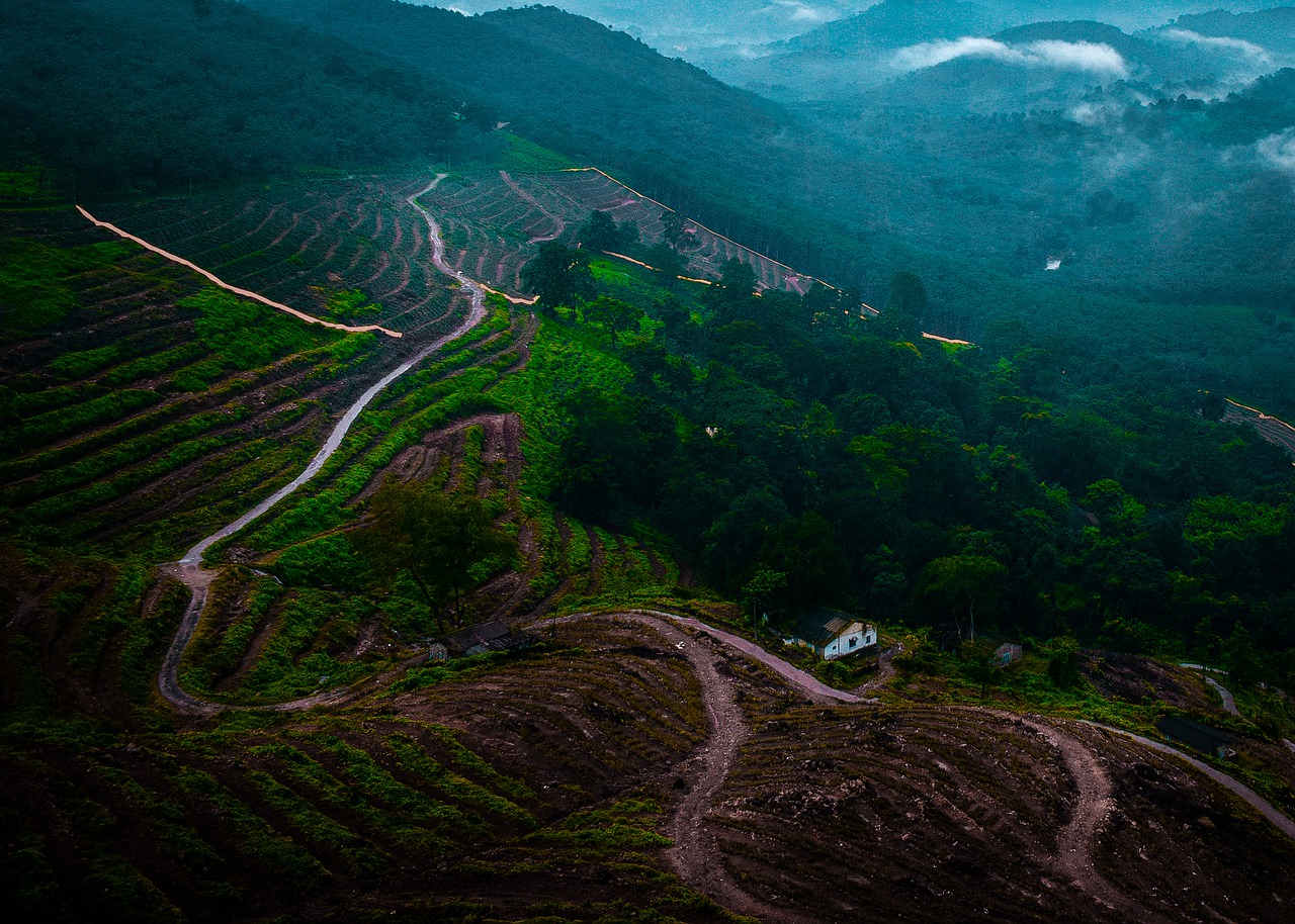 Kerala Honeymoon Packages