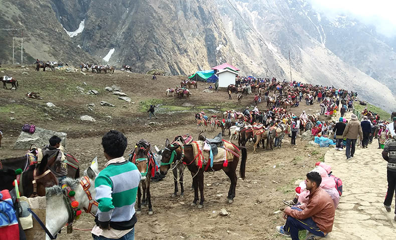 Badrinath Kedarnath Yatra Packages