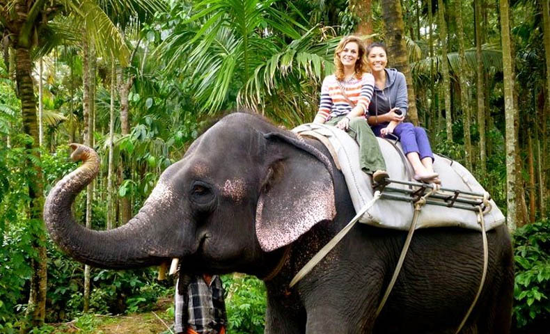 Incredible Kerala Wildlife Gateway Tour Package