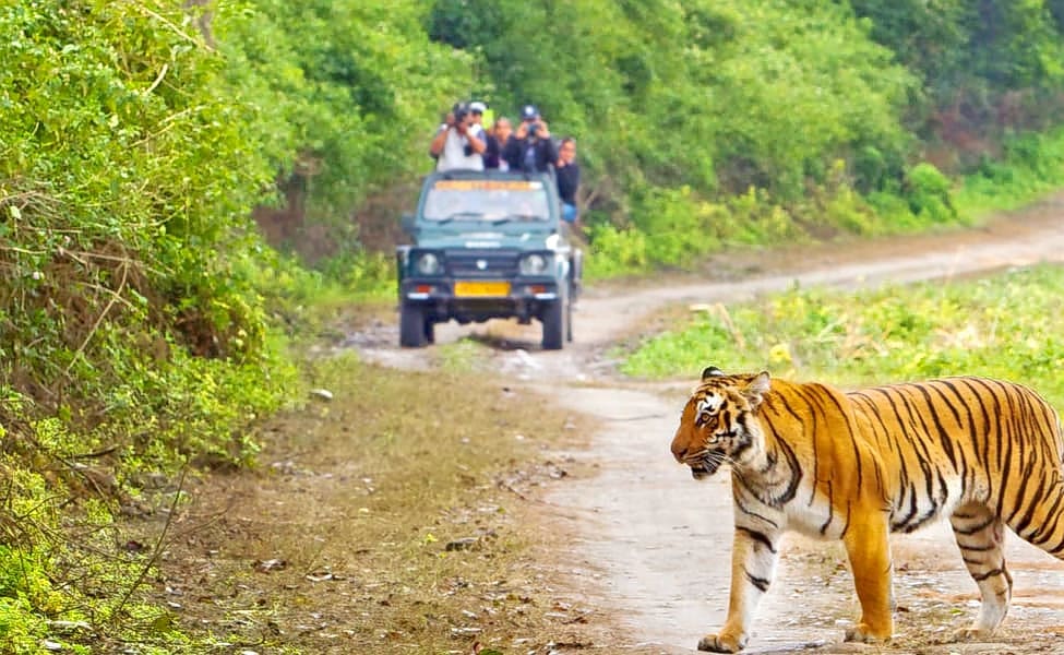 3 Nights 4 Days Nainital Corbett Tour Packages