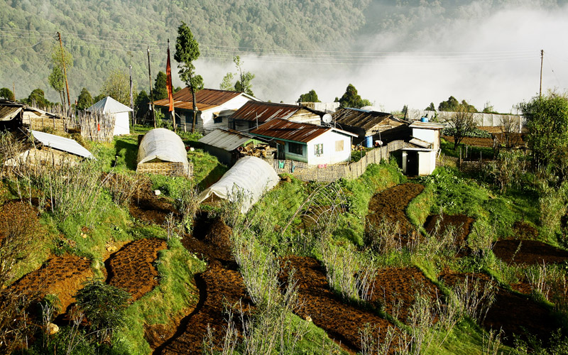 Fascinating Sikkim Tour Package